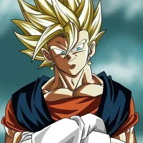 Vegetto Radio HN