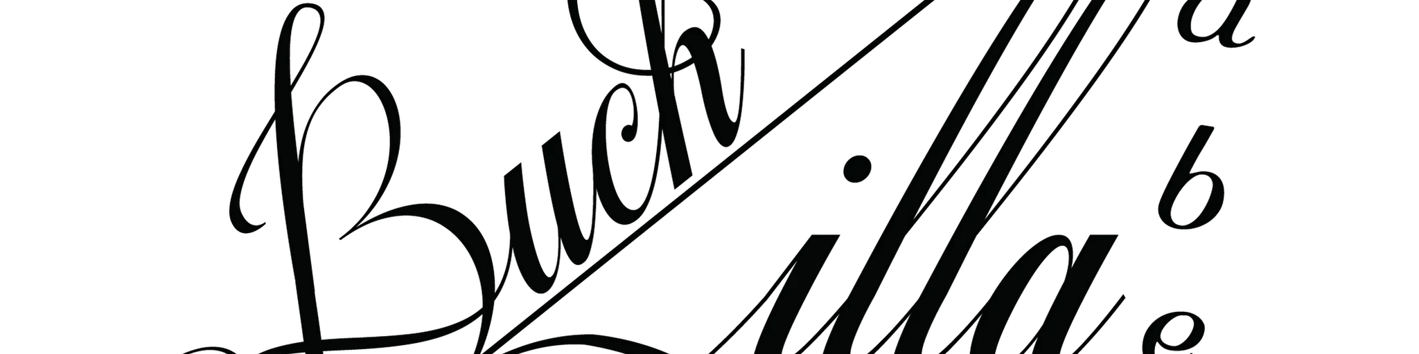 ATLAS Radio