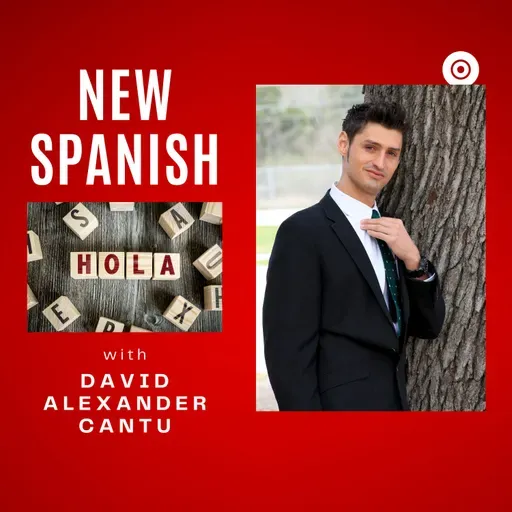 1-1 Spanish Grammar Power Hour | All the A1 Tenses in One Class | Speak and Learn | Beginner Essentials
