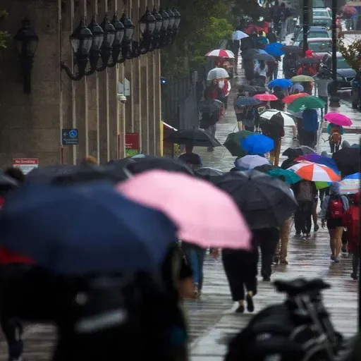 Why it feels like it rains every weekend