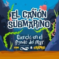 ¿Qué es un cañón submarino?