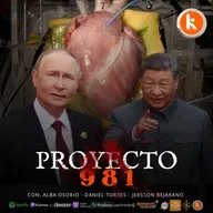Proyecto 981