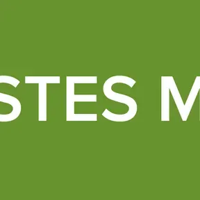 TESTES MER
