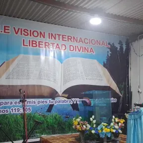 I.E VISION INTERNACIONAL LIBERTAD DIVINA