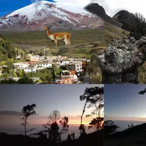 Chicha Nacional