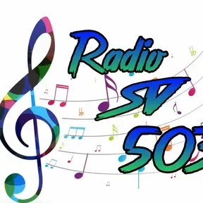 Radio SV 503