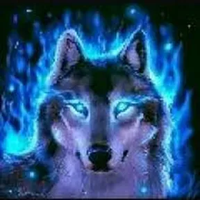 Lupul Fm