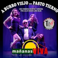 Invitan a disfrutar de las últimas funciones de la obra de teatro “a burro viejo pasto tierno”