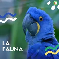La fauna, hay que ver por ellos