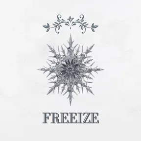 Freeze Radio