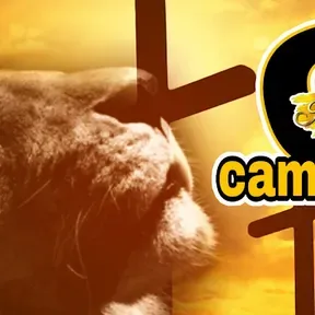 CAMBIANDO VIDAS