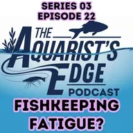 Aquarium Burnout Is Real - How To Recover Without Quitting Fishkeeping