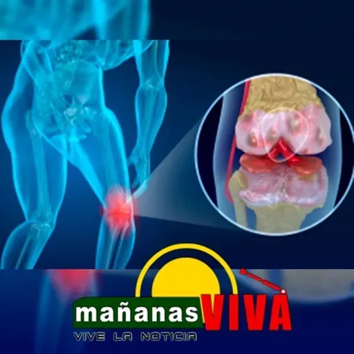 Doctor Wilmer Ibarra – portafolio de servicios para el cuidado de tus articulaciones