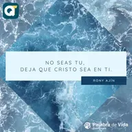 DOMINGO 17-08-2025