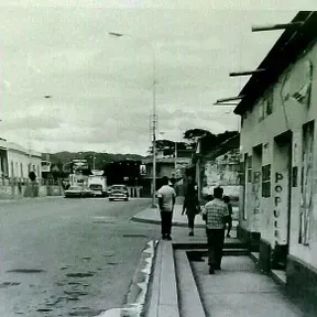 Vive48