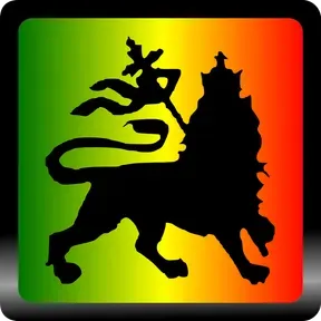 LION RADIO