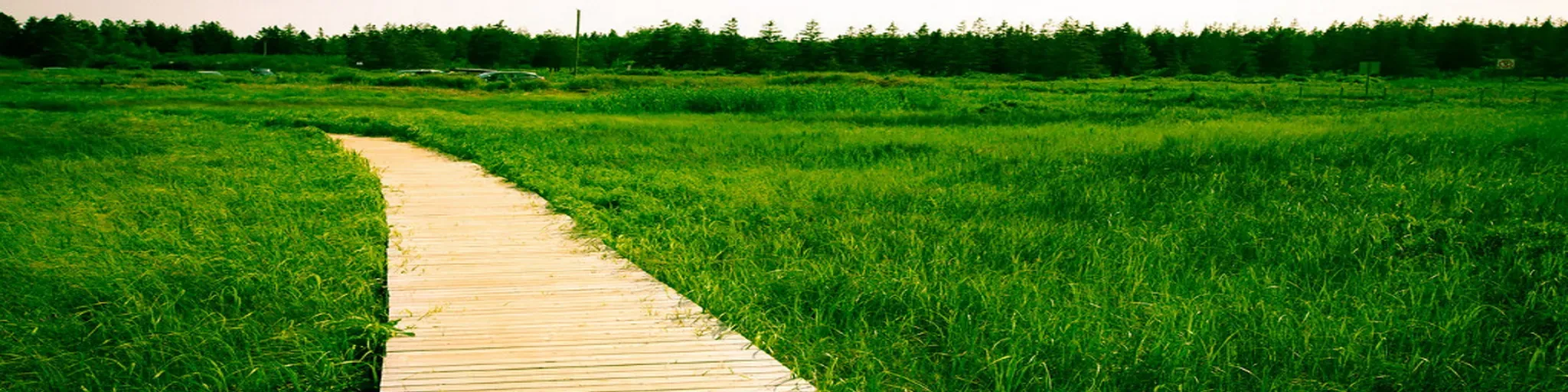 The Journey with God Gospel Radio