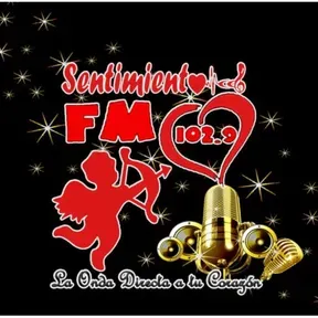 FM SENTIMIENTO 102.9