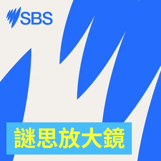 Who's profiting from your outrage? - 【SBS Examines】當憤怒情緒變成流量：誰在背後賺錢？