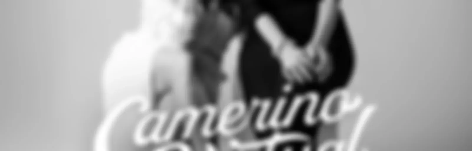 Camerino Virtual