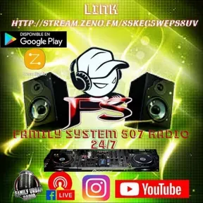 Family System 507 Radio