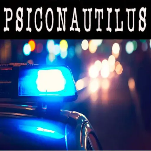 Seguretat: sembrem por i recullim submissió (T.3 Cap, 3)