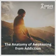 The Anatomy of Awakening from Addiction