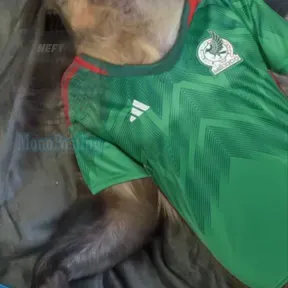 Reggaeton