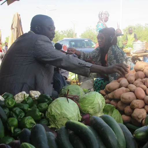 Dans le journal de ce mercredi :