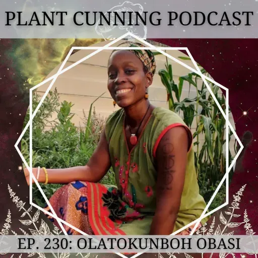 Ep. 230: Traditional African Medicine with Olatokunboh Obasi