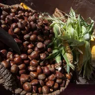 Breves de actualidad: Ayudas a los productores de frutos de cáscara en secano