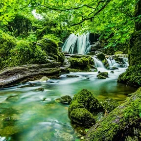24 Nature