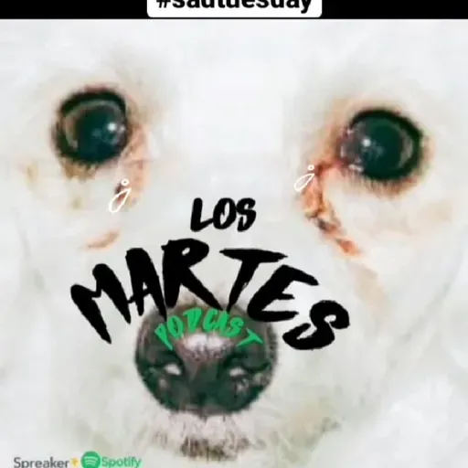 sadtuesday sesión 6-6