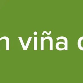 Estacion viña del mar