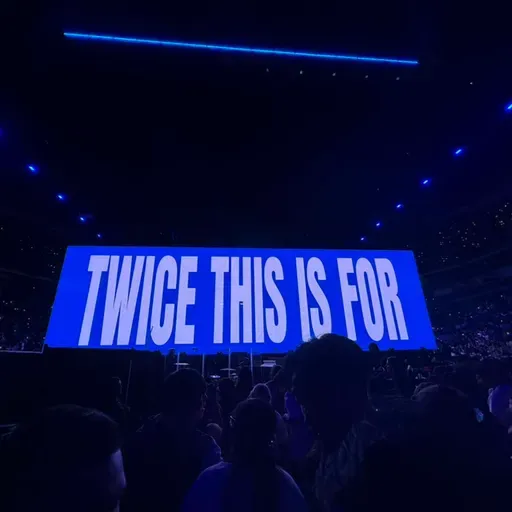 聊聊学语言带来的新体验|How Japanese Upgraded My Concert Experience