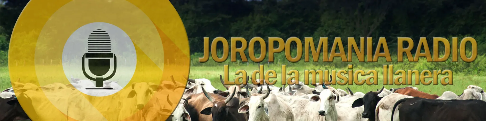 Joropomania Radio