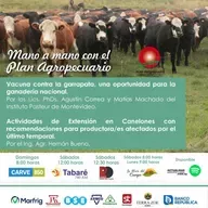 Vacuna contra la garrapata. Actividades de Extensión en Canelones.