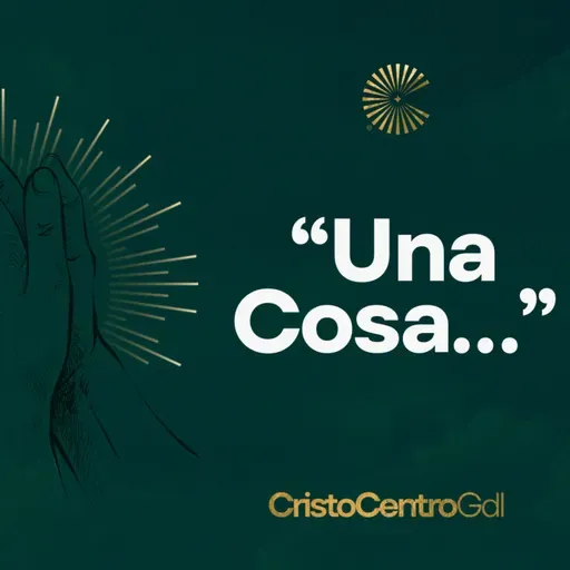 Una Cosa Buscaré