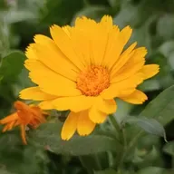 Entre tóxicos y caballeros.