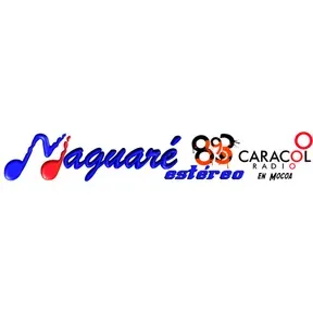 MAGUARE STEREO en vivo