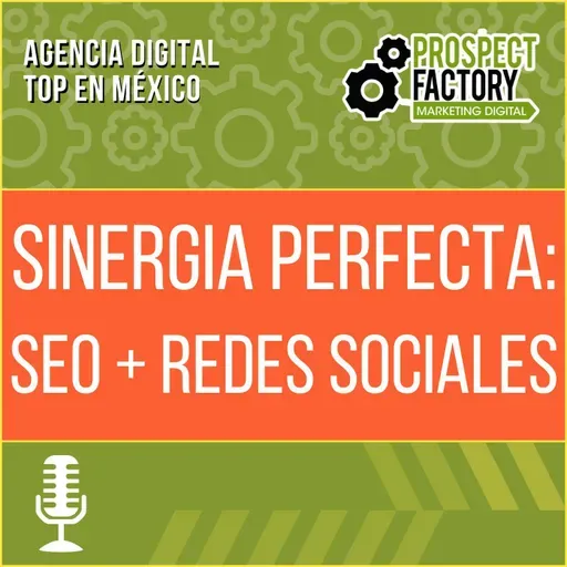 Sinergia perfecta: SEO + Redes Sociales