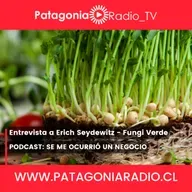Fungi Verde: Una idea que hizo brotar un negocio sano y sustentable