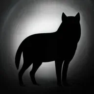 Kinovärgiga mandariin #347