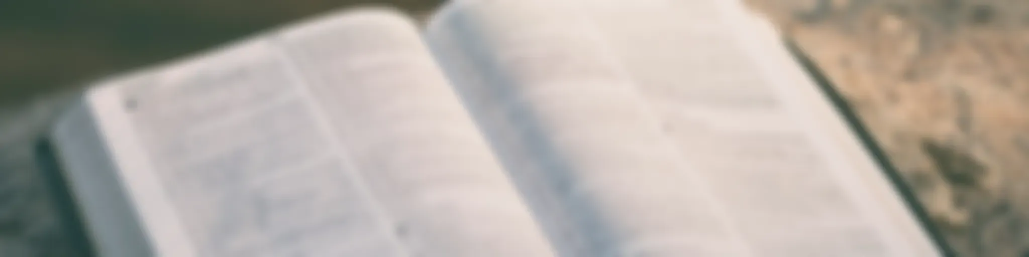 1 Timoteo 2 8 - 10 Pr. Gabriel Barahona