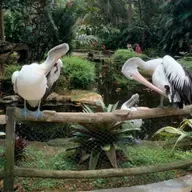 Random Talk (gaji guru - lost respect)