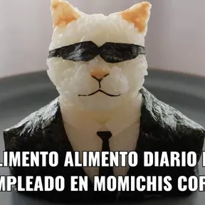 Macaco