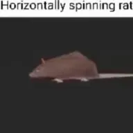Goofy Ahh Song (rat music)