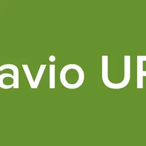 Flavio URL