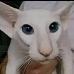 Eduardo