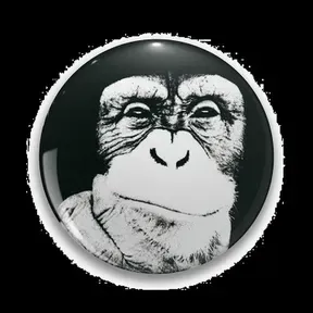 TRAkmuSIC